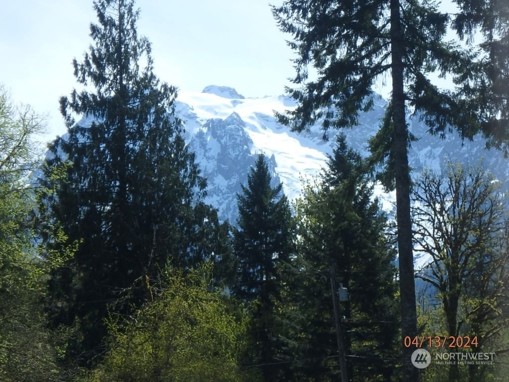 31015 W Whitehorse Drive, Arlington, WA 98223 10