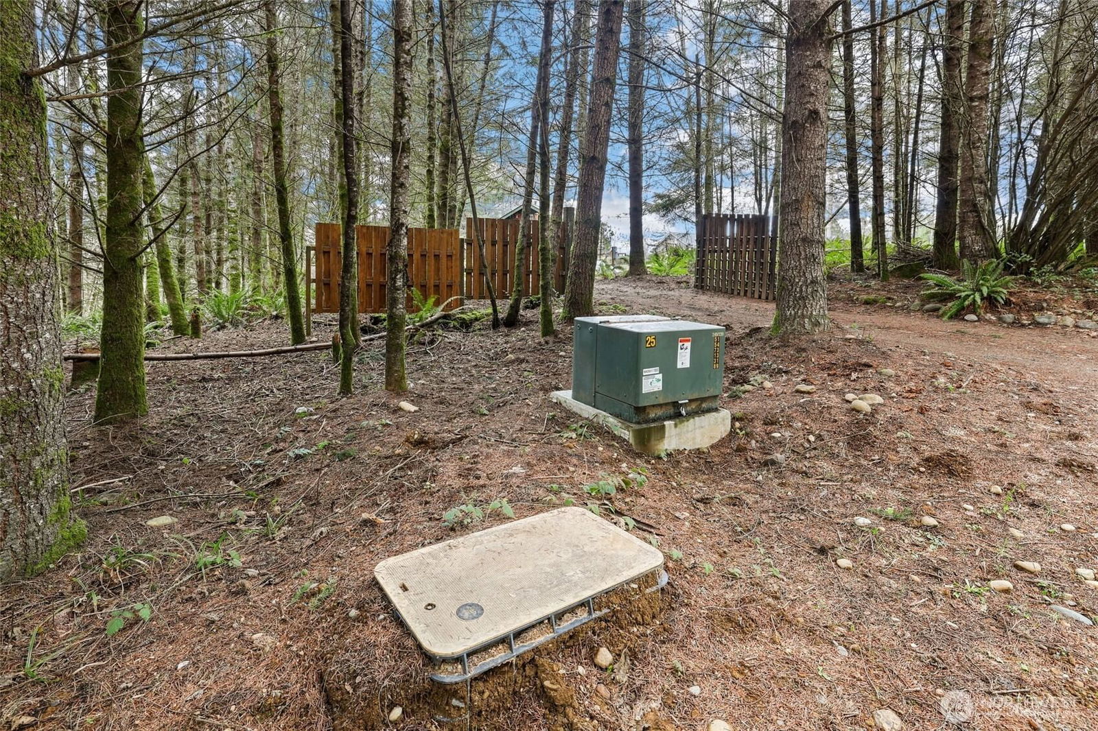 14415 Fircrest Lane SE, Tenino, WA 98589 2