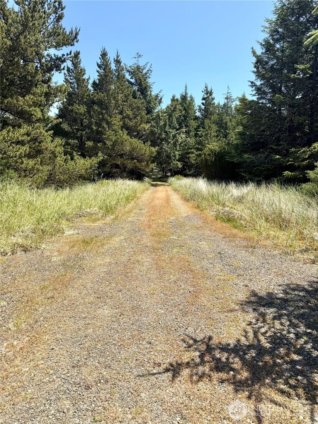 15217 Pacific Way, Long Beach, WA 98631 40